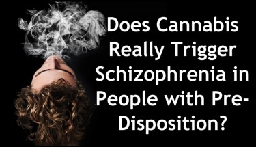 CANNABIS TRIGGERS SCHIZOPHRENIA 